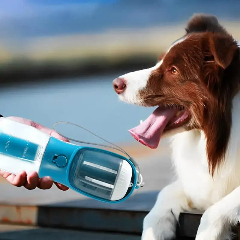 3-in-1 Pet Cup