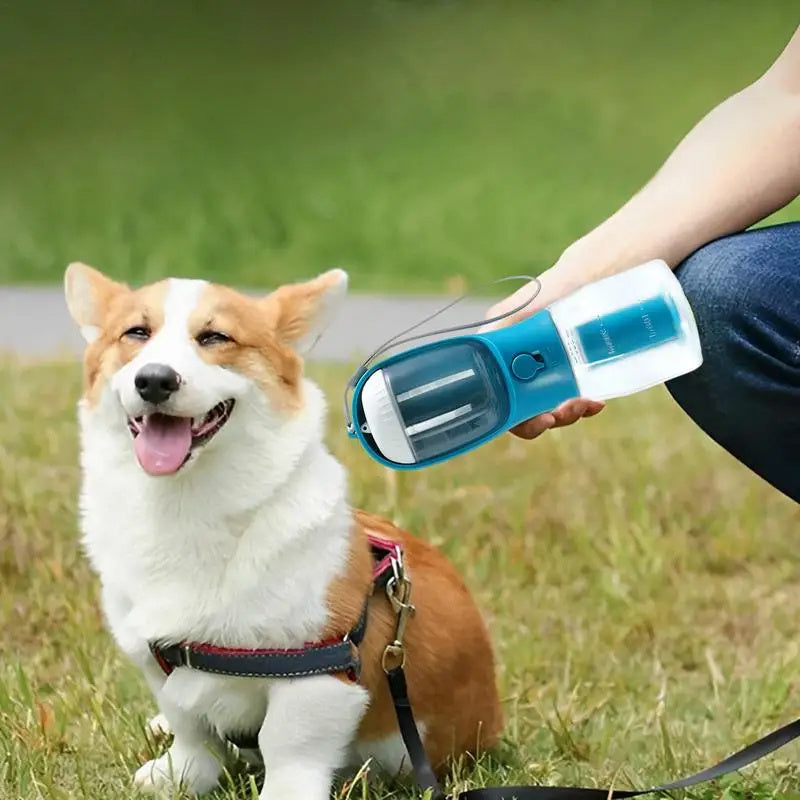 3-in-1 Pet Cup
